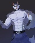  5_fingers abs absurd_res anthro belt biceps big_muscles blue_bottomwear blue_clothing blue_pants bottomwear canid canine canis claws clothing collar countershade_torso countershading damiroon ear_piercing ear_ring eyewear fangs fingers fluffy fluffy_tail freddy_(dislyte) fur grey_background grey_body grey_fur hi_res looking_at_viewer male mammal muscular muscular_anthro muscular_male nipples pants pecs piercing ring_piercing scar simple_background smile solo sunglasses teeth white_claws wolf 