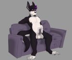  absurd_res anthro balls colored dark_(dark) erection furniture genitals hair hi_res kangaroo macropod male mammal marsupial masturbation niickokett niicmunter nude penetrable_sex_toy penis sex_toy shaded simple_shading sitting sofa solo 