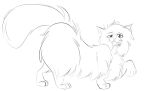  domestic_cat felid feline felis feral hi_res mammal open_mouth persian_(disambiguation) 