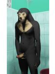  3:4 absurd_res anthro genitals hi_res male mamau_(mamaubear) mamaubear mammal penis solo sun_bear ursid ursine 