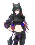  1girl animal_ears arknights bangs black_gloves black_hair black_jacket black_pants black_shirt cowboy_shot crop_top gloves hair_between_eyes hand_on_hip highres jacket joshua_(shisanli934) long_hair long_sleeves looking_at_viewer midriff navel official_alternate_costume open_clothes open_jacket pants red_eyes shirt simple_background solo standing stomach texas_(arknights) very_long_hair white_background wolf_ears 