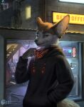  absurd_res anthro brown_body brown_fur canid canine clothing cyberpunk detailed_background ear_piercing fennec fox fur hi_res hoodie male mammal outside piercing puck_(smutvault) silverbloodwolf98 solo tan_body tan_fur topwear vr_headset yellow_eyes 