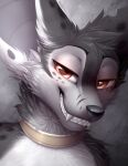  2021 ambiguous_gender anthro black_eyebrows black_nose blizzard_entertainment bloominglynx canid cheek_tuft eyebrows facial_tuft fangs front_view fur glistening glistening_nose grey_body grey_ears grey_fur grey_head_tuft grin head_tuft hi_res looking_at_viewer mammal narrowed_eyes neck_tuft orange_eyes shoulder_tuft signature simple_background smile solo tuft video_games vulpera warcraft white_body white_fur 