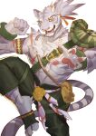  1boy abs absurdres animal_ears animal_feet animal_hands animal_nose armband armor arms_up body_fur claws clenched_hand colored_sclera commentary_request cuffs fangs feet fighting_stance furry furry_male green_pants grey_fur grey_hair hair_ribbon happy highres leg_up looking_at_viewer male_focus multicolored_fur multicolored_hair muscular muscular_male navel nimbus_(world_flipper) notched_ear open_mouth orange_eyes pants pawpads pectorals pouch red_ribbon ribbon rope scar scar_on_arm scar_on_chest scar_on_leg shackles short_hair shoulder_armor simple_background single_shoulder_pad smile solo spread_fingers standing standing_on_one_leg striped_tail tail teeth tiger_boy tiger_ears tiger_tail tokuninai_hito tongue topknot topless_male two-tone_hair whiskers white_background white_fur world_flipper yellow_sclera 
