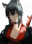  1girl animal_ear_fluff animal_ears arknights bangs black_hair black_jacket blood blood_on_face breasts breasts_apart center_opening choker cigarette closed_mouth collared_shirt english_commentary gloves gnai hand_up highres holding holding_cigarette jacket long_hair long_sleeves looking_at_viewer ponytail red_gloves red_shirt shirt simple_background solo texas_(arknights) texas_(willpower)_(arknights) upper_body watch white_background wolf_ears wristwatch yellow_eyes 