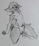  2022 anthro artist_name blush blush_lines bulge canid canine canis clothed clothing domestic_dog eyes_closed full-length_portrait graphite_(artwork) head_tuft hi_res kneeling male mammal monochrome onigiriad open_mouth pencil_(artwork) portrait shiba_inu sketch solo spitz tight_underwear traditional_media_(artwork) tuft underwear underwear_only 