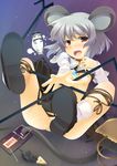  animal_ears breasts cheese food grey_hair jewelry mouse mouse_ears mouse_tail mousetrap nazrin nipples no_bra no_panties pendant pussy red_eyes short_hair small_breasts solo tail tororo touhou 