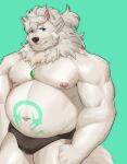  2022 anima_(anothereidos_r) another_eidos_of_dragon_vein_r anthro belly black_nose bulge canid canine clothed clothing green_background heterochromia hi_res humanoid_hands kemono looking_at_viewer male mammal moobs mr_samoye musclegut navel nipples overweight overweight_male portrait simple_background solo three-quarter_portrait underwear underwear_only white_body 