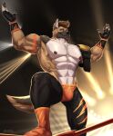  5_fingers abs amon-sydonai anthro armwear bent_legs biceps black_nose bottomwear brown_hair canid canine canis claws clothing fighting_ring finger_claws fingers footwear fur gloves hair handwear hi_res lights looking_at_viewer male mammal multicolored_body multicolored_fur multicolored_tail muscular muscular_anthro muscular_male nipples orange_clothing pecs pose raised_arms raised_leg serratus sharp_claws solo spiky_hair standing tan_body tan_fur triceps tuft watermark white_body white_chest white_fur winner wolf wrestling wrestling_belt yellow_eyes 