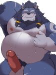  2022 absurd_res anthro armpit_hair balls belly big_belly blue_body blush bodily_fluids body_hair canid canine erection genital_fluids genitals hi_res humanoid_genitalia humanoid_hands humanoid_penis kemono male mammal overweight overweight_male penis precum simple_background solo sweat white_background white_body whitebeast20 
