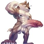  agent_classified anthro balls biceps big_penis canid canine canis dreamworks erection fur genitals grey_body grey_fur hi_res huge_penis humanoid_genitalia humanoid_penis implied_transformation j_flores_draws madagascar_(series) male mammal muscular nipples north_wind nude penis simple_background smile smirk solo the_penguins_of_madagascar wolf 