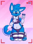  anthro band-aid_on_nose blue_body blue_eyes blue_fur blush blush_lines bottomwear bulge canid canine canis clothing e-girl fur girly hi_res legwear looking_at_viewer male mammal pinup pose sextember solo star stockings streaming topwear underwear wolf wolfyzeeb young zeeb_wolfy 