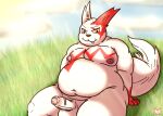  2022 anthro balls belly big_belly erection generation_3_pokemon genitals hi_res male moobs nintendo nipples outside overweight overweight_male penis pokemon pokemon_(species) red_body red_panda_mirr sitting solo video_games white_body zangoose 