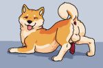  animal_genitalia animal_penis anus arched_back ass_up balls butt canid canine canine_penis canis curled_tail domestic_dog feral fur gaping gaping_anus genitals haku_(hdoge) hdoge_(artist) looking_at_viewer male male/male mammal multicolored_body multicolored_fur one_eye_closed orange_body orange_fur pawpads paws penis presenting presenting_hindquarters quadruped red_eyes shiba_inu simple_background smile smirk solo spitz spread_legs spreading tongue tongue_out two_tone_body two_tone_fur wink 