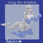  anthro cetacean clothing delphinoid footwear greg_(disambiguation) hi_res male mammal marine nabiha petplay puppyplay roleplay socks solo toothed_whale 