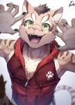  2022 5_fingers anthro bottomwear clothing deity felid feline female fingers green_eyes hi_res hoodie jumpscare leopard_cat mammal nekojishi open_mouth palms ponzu_tas prionailurus red_clothing red_hoodie red_topwear shorts shu-chi signature simple_background solo studio_klondike topwear video_games visual_novel white_background white_bottomwear white_clothing white_shorts young 