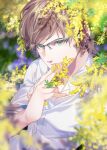  1boy brown_hair collared_shirt covering_mouth final_fantasy final_fantasy_xv flower glasses green_eyes hinoe_(dd_works) holding holding_flower ignis_scientia looking_at_viewer male_focus outdoors shirt short_hair sleeves_rolled_up smile solo upper_body white_shirt yellow_flower 