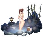  1girl areola_slip bamboo blush breast_hold breasts brown_hair bucket collarbone covering covering_breasts d-log digital_media_player dog english_text fountain full_body grey_eyes groin hair_between_eyes hair_bun highres in_water kheshig_(last_origin) last_origin long_hair looking_at_viewer medium_breasts nude_cover official_art onsen open_mouth partially_submerged ripples rock see-through shutter_shades soap_bottle solo statue stone_lantern stuffed_animal stuffed_dolphin stuffed_toy tachi-e thighhighs transparent_background water wet white_towel wooden_bucket 