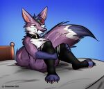  anthro bed canid canine clothing collar collar_only footwear fox furniture humanoid legwear looking_pleasured male mammal nude on_bed sitting sitting_on_bed socks solo spread_legs spreading sukifox thigh_highs thigh_socks zenonclaw 