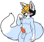  absurd_res anthro balls blonde_hair blush brown_hair canid canine canis crossgender fluffy fluffy_tail genitals hair hi_res male mammal muscular muscular_male navel penis red_penis solo tongue tongue_out wolf 