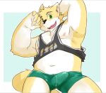  2022 anthro black_nose bulge canid canine canis clothing domestic_dog genital_outline green_eyes inuryu kemono male mammal nipples penis_outline shirt solo topwear underwear 