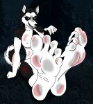  absurd_res canid canine canis creepypasta domestic_dog feet female foot_focus hi_res humanoid husky mammal nordic_sled_dog siberian_husky smile.dog solo spitz unknown_artist 