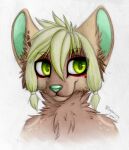  2019 anthro bloominglynx blue_inner_ear blue_nose brown_body brown_fur bust_portrait canid cheek_tuft chest_tuft eyebrow_through_hair eyebrows facial_tuft female front_view fur glistening glistening_eyes green_eyes green_hair hair hi_res looking_aside mammal neck_tuft portrait signature simple_background solo translucent translucent_hair tuft white_background 