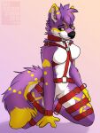  2015 anthro biped black_nose breasts canid canine dated digital_media_(artwork) featureless_breasts featureless_crotch female fur gradient_background harness hi_res kneeling mammal purple_body purple_fur red_harness redfeatherstorm shaded simple_background solo white_body white_fur yellow_body yellow_eyes yellow_fur 