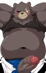  2022 absurd_res anthro belly ben_(zenless_zone_zero) big_belly black_body black_nose blush chobab_789 clothed clothing erection genitals hi_res humanoid_genitalia humanoid_penis kemono male mammal mihoyo navel overweight overweight_male penis raised_clothing raised_shirt raised_topwear scar shirt solo topwear ursid zenless_zone_zero 