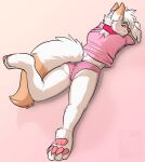  2015 anthro artist_name barefoot biped blush butt clothed clothing collar crossdressing dated digital_media_(artwork) feet felid feline fur girly gradient_background green_eyes hair hi_res lying male mammal on_front panties pawpads pink_clothing pink_collar pink_nose pink_panties pink_pawpads pink_shirt pink_topwear pink_underwear redfeatherstorm shaded shirt simple_background solo topwear underwear white_body white_fur white_hair 