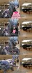  3d_(artwork) absurd_res book capcom comic detailed_background digital_media_(artwork) dragon elder_dragon eyewear female feral glasses hi_res horn library library_velk_anon looking_at_viewer monster_hunter offscreen_character scales subtitled talking_feral velkhana video_games white_body wings yellow_eyes 