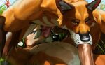 69_position animal_genitalia animal_penis anthro beard canid canine canine_genitalia canine_penis duo facial_hair fellatio fox fur genitals goatee humanoid_genitalia humanoid_penis interspecies male male/male male_penetrated male_penetrating male_penetrating_male mammal mustache mutual_penetration nipples nude_anthro nude_male oral orange_body orange_fur penetration penile penis rodent sciurid sex tintiai tree_squirrel whiskers white_beard white_facial_hair white_mustache yellow_eyes