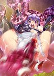  animal_ears blood breasts brown_eyes frills guro haitoku_no_senritsu medium_breasts panties perspective purple_eyes purple_hair rape screaming shuuko solo spread_legs tentacles thighhighs underwear white_panties 