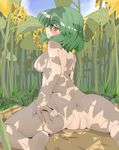  anus ass ass_grab back barefoot blush breasts come_hither day fat_mons flower grabbing_own_ass grass green_hair highres kazami_yuuka large_breasts looking_back nature naughty_face nipples nude orange_eyes outdoors presenting pussy shadow short_hair slit_pupils solo spread_ass spread_legs sunflower touhou uncensored when_you_see_it wriggle_nightbug yunari 