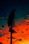  1other bird cloud crow feathered_wings full_body gradient gradient_background highres lamppost leg_up no_humans original power_lines silhouette solo sunset suzumori_521 talons utility_pole wings 