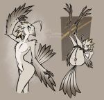  2022 anthro anus avian beak bird blue_eyes feathers female flat_chested genitals grey_body grey_feathers hi_res holding_legs legs_up long_legs lying lyra_(w4g4) nude nude_anthro nude_female on_back potoo presenting presenting_pussy pussy scottieman solo standing tail_feathers talons 