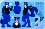  absurd_res ailurid anthro belly black_body black_fur black_nose blue_body blue_fur cheek_tuft claws cobalt_pandaskunk ears_up eyebrows facial_markings facial_tuft fangs front_view fur hair head_markings hi_res hybrid inner_ear_fluff male mammal markings mephitid open_mouth pawpads rear_view red_panda skunk smile solo stripes tail_markings teeth text thick_thighs toe_claws tongue tongue_out trindarts tuft white_body white_fur wide_hips 