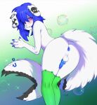  anthro anus backsack balls blue_anus blue_genitals blue_hair butt canid canine canis clothing domestic_dog fur genitals girly hair knot legwear male mammal penis piercing presenting presenting_hindquarters red_eyes solo stockings targso tattoo white_body white_fur 