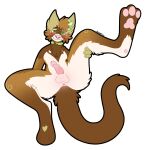  &lt;3 alex_ferret anus blush blushing_profusely brown_tail chest_tuft collar domestic_ferret embarrassed embarrassed_nude_male feet foot_focus genitals green_eyes hi_res holding_legs_up humanoid_genitalia humanoid_penis kaymation looking_at_viewer lying male mammal mustela mustelid musteline on_back pawpads paws penis pink_nose pink_pawpads presenting presenting_anus presenting_penis smile solo solo_focus spread_legs spreading submissive submissive_male true_musteline tuft 