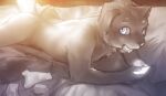  anthro bed blue_eyes canid canine canis clothing condom domestic_dog furniture looking_at_viewer lying male mammal nude on_front phone sexual_barrier_device solo stampmats underwear 