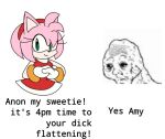  amy_rose amyrosesimp1 anon anthro clothing duo eulipotyphlan female hedgehog human male male/female mammal meme sega shitpost sonic_the_hedgehog_(series) text 