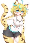  2022 anthro big_breasts blue_eyes blush bottomwear breasts chest_tuft clothed clothing cute_fangs felid female female_anthro fluffy fur hair hand_on_hip happy hi_res horokusa0519 kemono looking_at_viewer mammal midriff multicolored_body multicolored_fur multicolored_hair navel pantherine shorts solo tiger tuft 