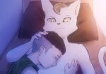  anthro chest_fur clothing domestic_cat duo felid feline felis fur green_clothing human lying male male/male mammal shirtless shirtless_male stampmats white_body white_fur 