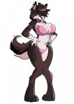 anthro aura_(aurathedanishhusky) big_breasts big_butt blush breasts butt bysilvaart canid canine canis clothed clothing collar crossgender digital_media_(artwork) domestic_dog ear_piercing female fluffy fluffy_tail fur glaucosilva hair hair_over_eyes hi_res huge_breasts huge_hips huge_thighs husky lingerie looking_at_viewer mammal mtf_crossgender nordic_sled_dog piercing silvaart simple_background smile smirk solo solo_focus spitz thathuskyaura thick_thighs underwear 