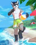  4:5 absurd_res anthro athletic athletic_anthro athletic_male ball beach beach_ball black_body black_fur black_nose blue_eyes blue_tongue cheek_tuft claws clothed clothing facial_tuft fangs finger_claws front_view fur glistening glistening_eyes grey_body grey_fur hi_res holding_ball holding_object inflatable male mammal narrowed_eyes navel pache_riggs palm_tree plant procyonid raccoon seaside shoulder_tuft solo tongue topless tree tuft umbrella water whiskers white_body white_claws white_fur 