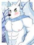 abs anthro athletic athletic_anthro athletic_male canid canine dragokaizer666 fox hi_res male mammal muscular muscular_anthro muscular_male nipples pecs scarf snow white_body