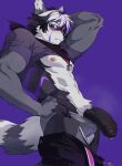 abs anthro areola athletic athletic_anthro athletic_male bodily_fluids bottomwear bottomwear_down clothed clothing enmapsycho fur genital_fluids genitals grey_body grey_fur hair hi_res humanoid_genitalia humanoid_penis looking_at_viewer male mammal pants pants_down partially_clothed penis purple_background purple_body purple_fur shirt_up simple_background solo tail underwear underwear_down white_body white_fur