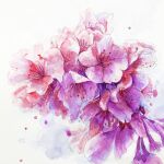  artworksmil flower no_humans original painting_(medium) plant purple_flower realistic still_life traditional_media watercolor_(medium) white_background 