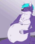 2023 ambiguous_gender ambiguous_prey animated anthro belly big_belly black_nose blue_hair burping canid canine digestion english_text eyes_closed flat_colors fox fur g3xa hair hands_on_belly loop male male_pred mammal mox_(antillion123) purple_body purple_fur same_size_vore simple_background sitting solo tail text vore