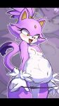 blaze_the_cat domestic_cat felid feline felis female hi_res krokobyaka mammal sega solo sonic_the_hedgehog_(series) third-party_edit vore